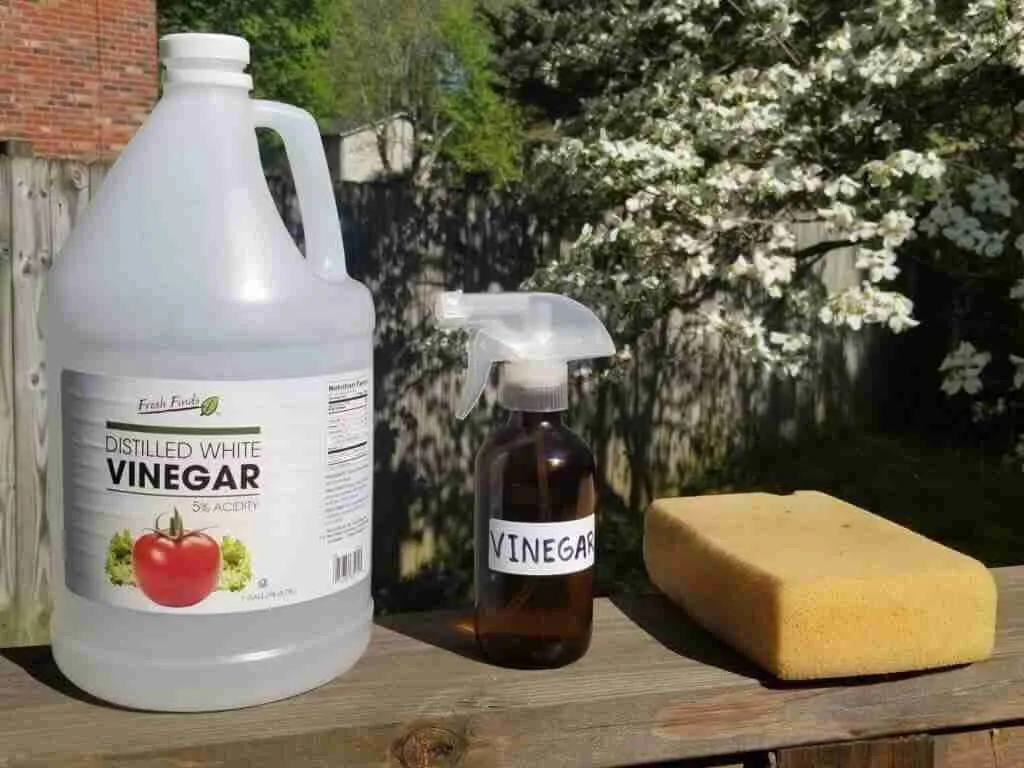 Five-Quick-Facts-About-Vinegar