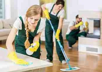 team-of-cleaners-cleaning