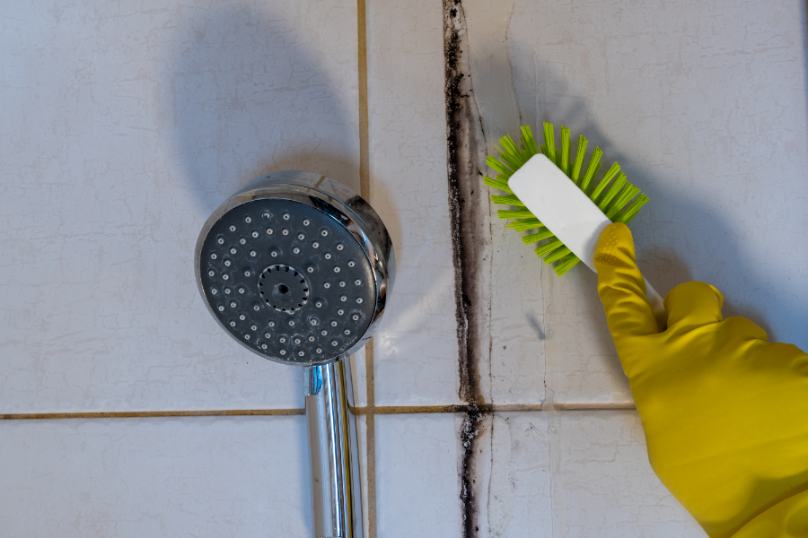 Can-You-Remove-Mold-from-Your-Shower-Walls