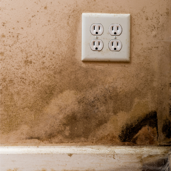 Can-You-Remove-Mold-on-Walls