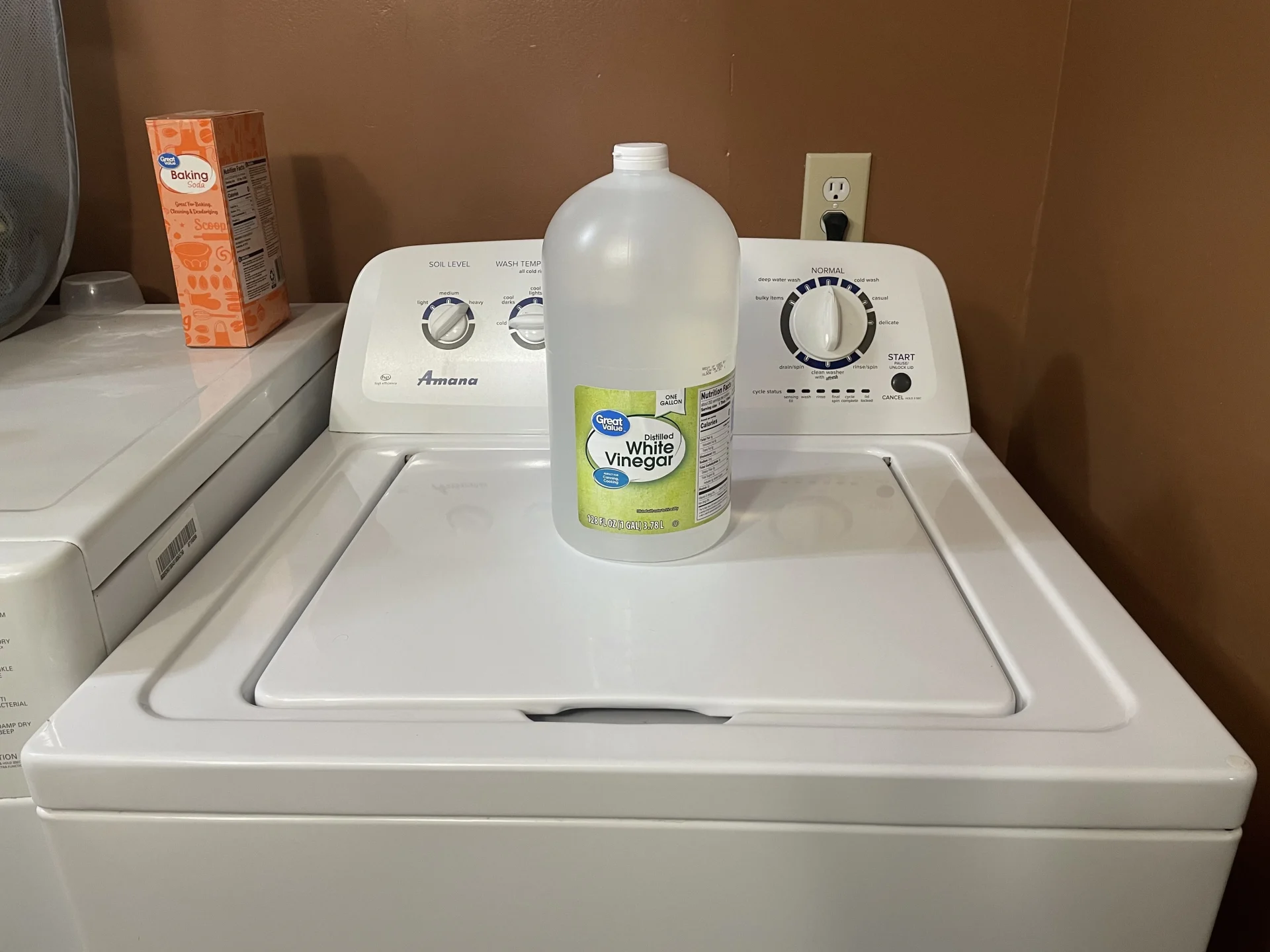 Cleaning-Washing-Machine-with-Vinegar