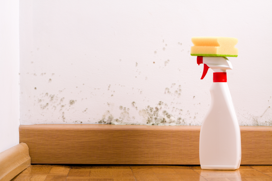 How-to-Use-Cleaning-Vinegar-to-Kill-Mold
