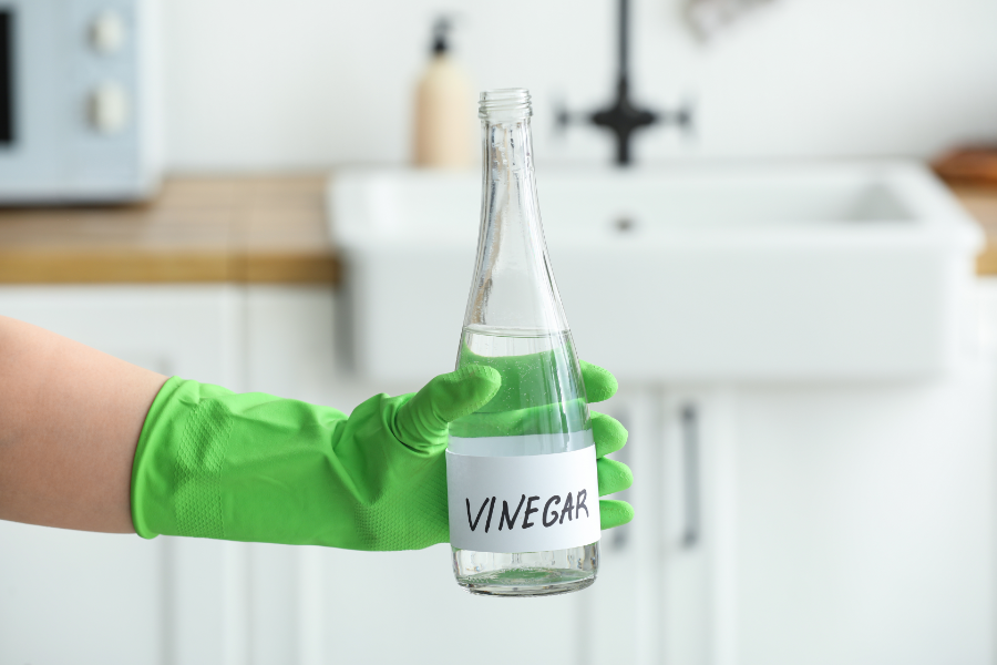 How-to-Use-Vinegar-to-Kill-Ants-