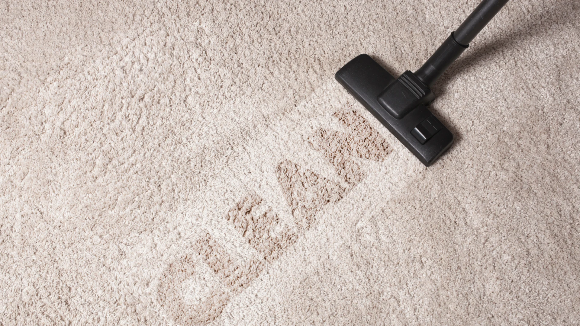 non-toxic-carpet-cleaning
